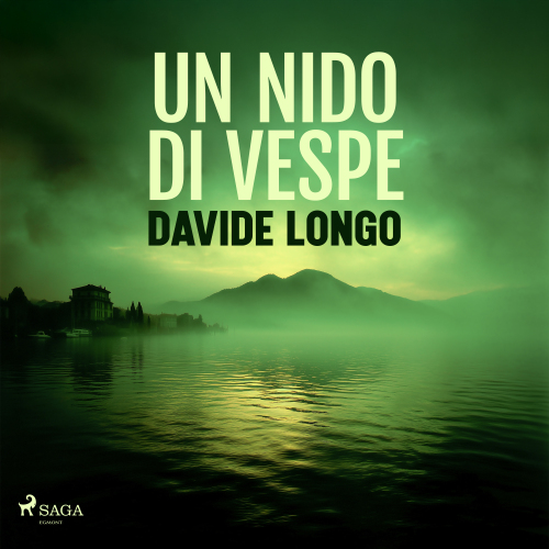 Un nido di vespe. Indagine tra Varese e il Lago Maggiore