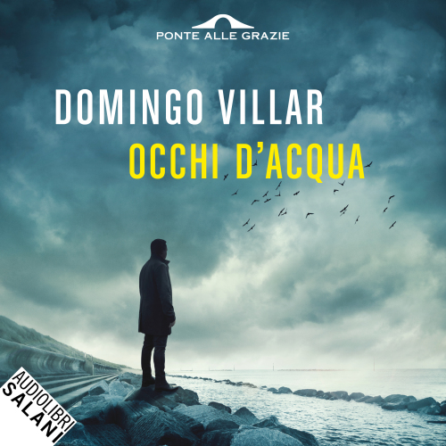 Occhi d'acqua. Un'indagine di Leo Caldas