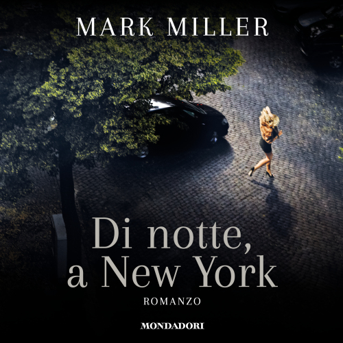 Di notte, a New York