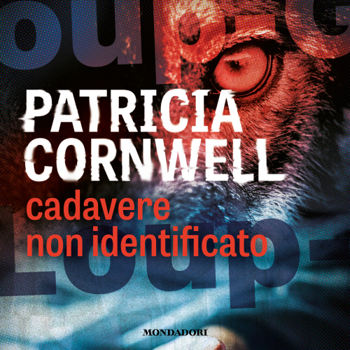 Cadavere non identificato