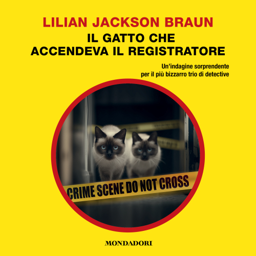 Il gatto che accendeva il registratore