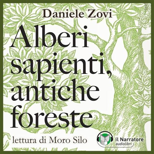 Alberi sapienti, antiche foreste. Come guardare, ascoltare e avere cura del bosco