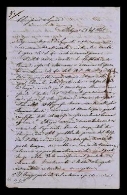 Lettera di Corradi, Alfonso a Cittadella, Luigi Napoleone